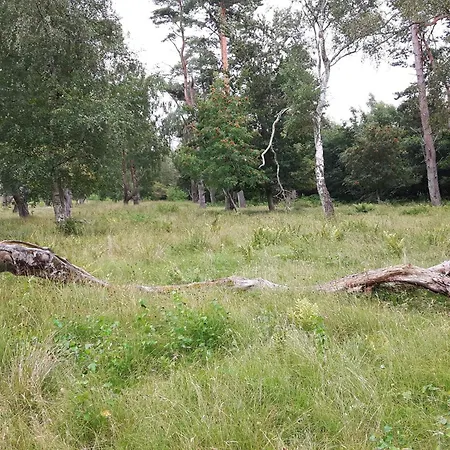 Дом отдыха 9 Person In Vaeggerlose-by Traum *