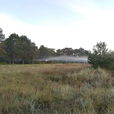 9 Person In Vaeggerlose-by Traum * Boto By